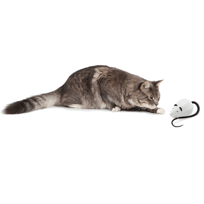 PetSafe FroliCat ROLORAT Automatic Cat Teaser