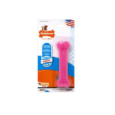 Nylabone Puppy Dental Chew Bone Toy