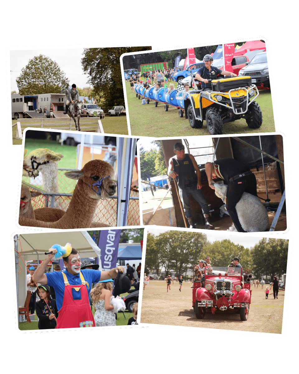 https://dzpdbgwih7u1r.cloudfront.net/9ad77e94-e27a-473c-a3d7-7cc04d949619/9ad780f4-0d95-4701-86ae-e764c7bc3972/a03b7d95-cf29-4ecd-b3ff-9f41f0e52a94/w960h1200-A%26P%20Hero%20Image.png