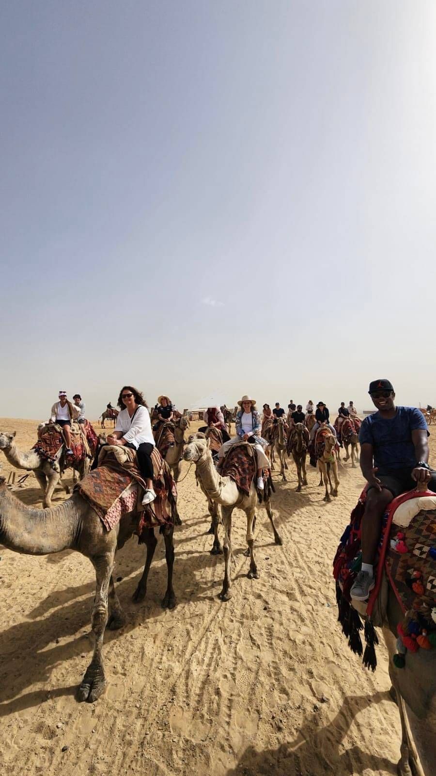 Decorated camels in front of the pyramids in Egypt, part of Little Big Events incentive travel.