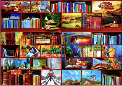 Bluebird 1000 Piece Jigsaw Puzzle:  Library Travel Section