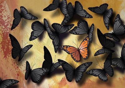 Nova 1000 Piece Jigsaw Puzzle Butterflies