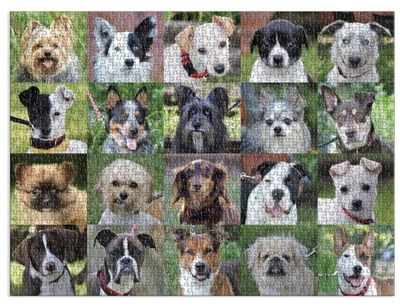 Galison 1000 Piece Jigsaw Puzzle: Rescue Dogs