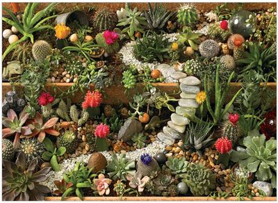 Cobble Hill 1000 Pieces Jigsaw Puzzle: Succulent Garden