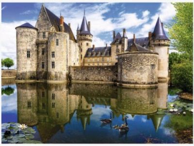 Trefl 3000 Piece Jigsaw Puzzle: Castle In Sully-sur-Loire France