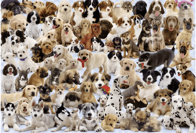 Ravensburger 1000 Piece Jigsaw Puzzle Dogs Galore