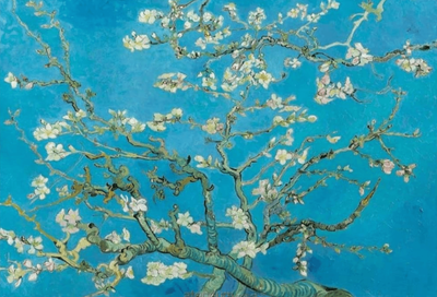 Bluebird 1000 Piece Jigsaw Puzzle: Vincent Van Gogh Almond Blossom, 1890