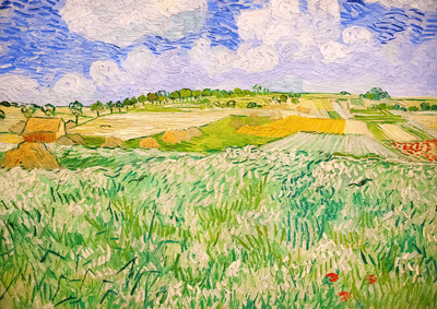 Enjoy 1000 Piece Jigsaw Puzzle Vincent Van Gogh: Plain near Auvers