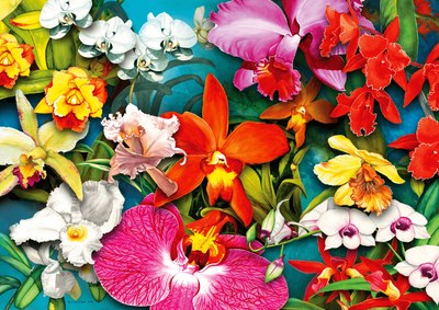 Enjoy 1000 Piece Jigsaw Puzzle Orchid Jungle