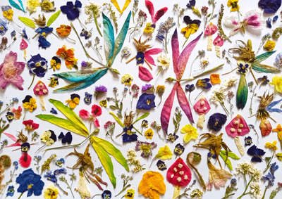 Enjoy 1000 Piece Jigsaw Puzzle Fairies &amp; Dragonflies