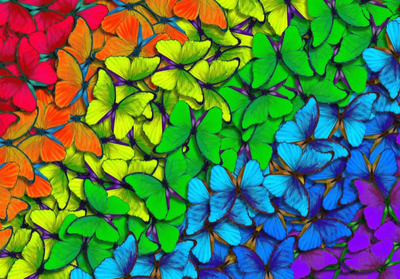 Enjoy 1000 Piece Jigsaw Puzzle Rainbow Butterflies