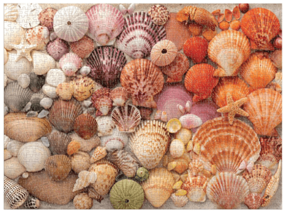 Galison 1000 Piece Jigsaw Puzzle Vibrant Seashells