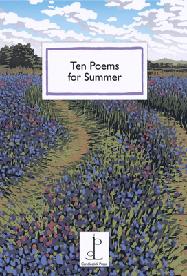 Instead Of A Card Poetry Pamphlet  Ten Poems for Summer