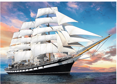 Trefl 1000 Piece Jigsaw Puzzle: Cruise