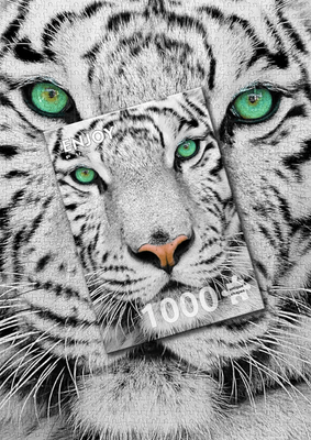 ​Enjoy 1000 Piece Jigsaw Puzzle White Siberian Tiger