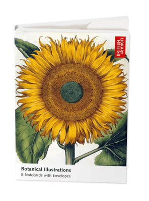Museums &amp; Galleries Botanical Illustrations 8 Pkt Folio Notecards