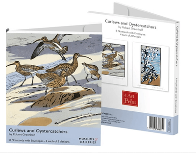 Museums &amp; Galleries Curlews &amp; Oystercatchers 8 Pack Folio Notecards