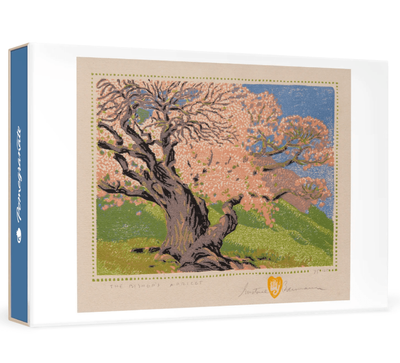 Pomegranate Bauman Bishops Apricot Small Boxed Note-cards