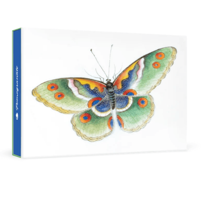 Pomegranate Butterfly Blank Small Boxed Cards