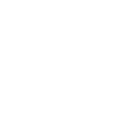 The best value maize seed - HSR Maize Seed | Nutrinza