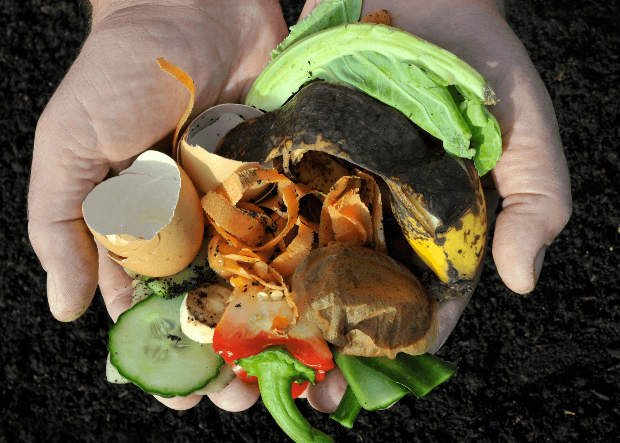 Image of Mahinga Kai Composting team.