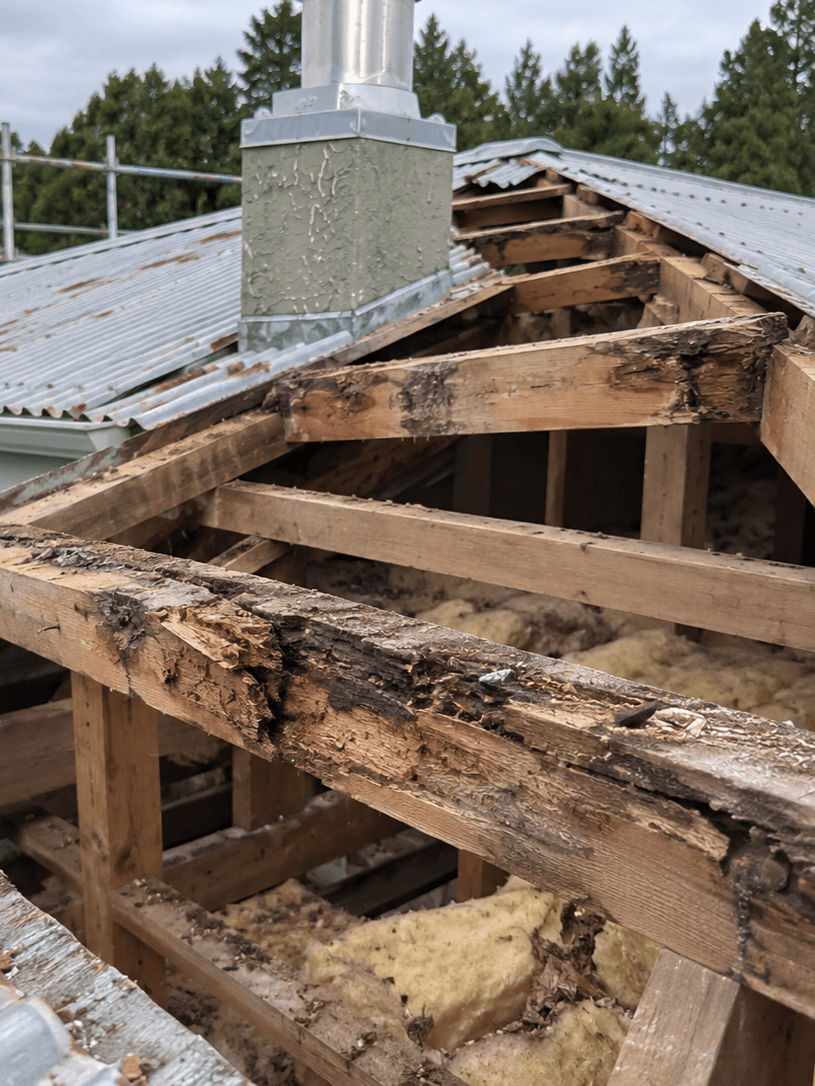 example of rotted timber purlins in a reroof project ai