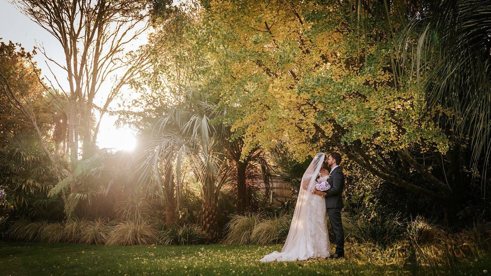 Markovina Vineyard Estate Wedding Venue Couple infront of Ginkgo Tree