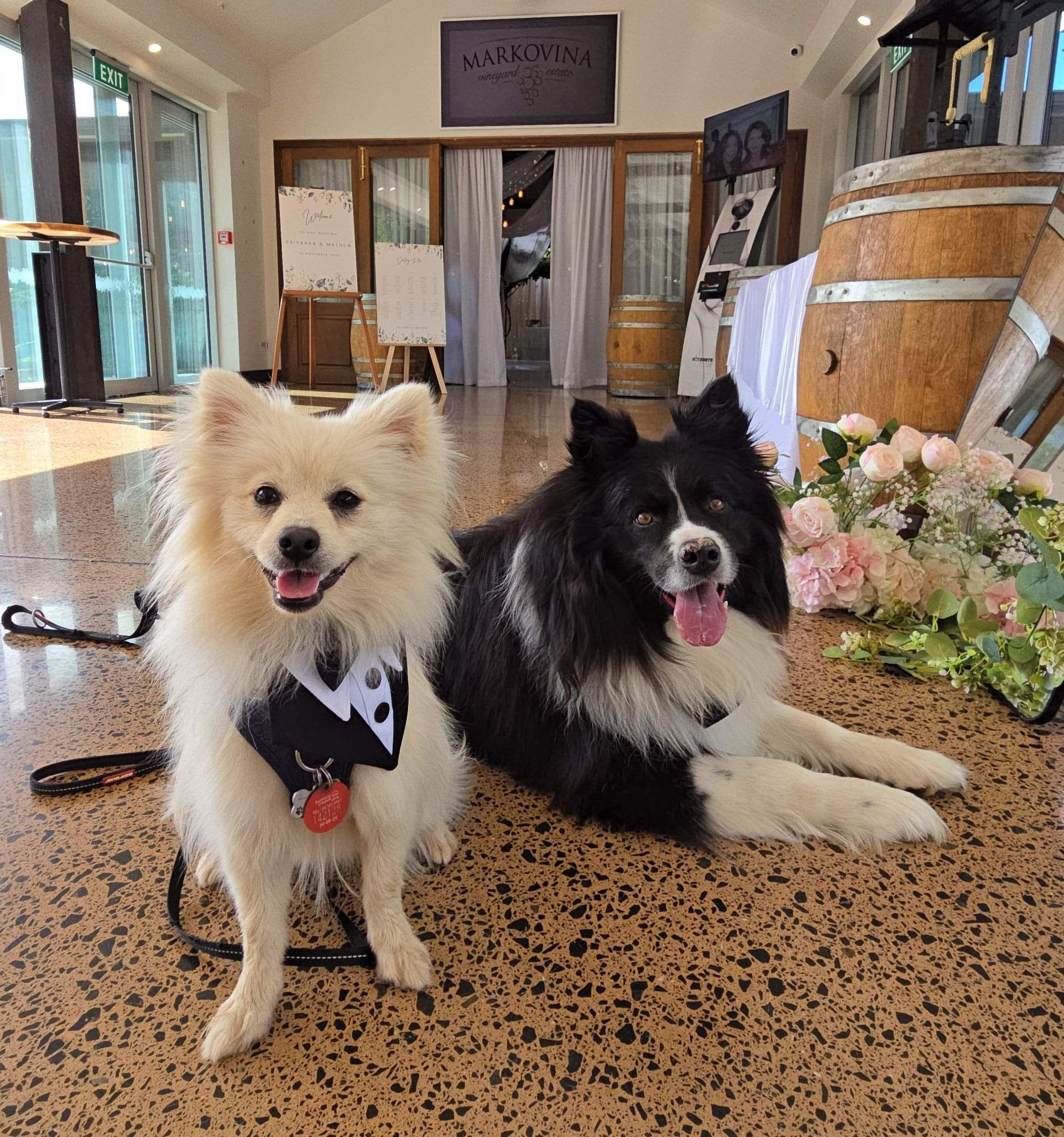 Fluffy Bums Pet Care during your wedding