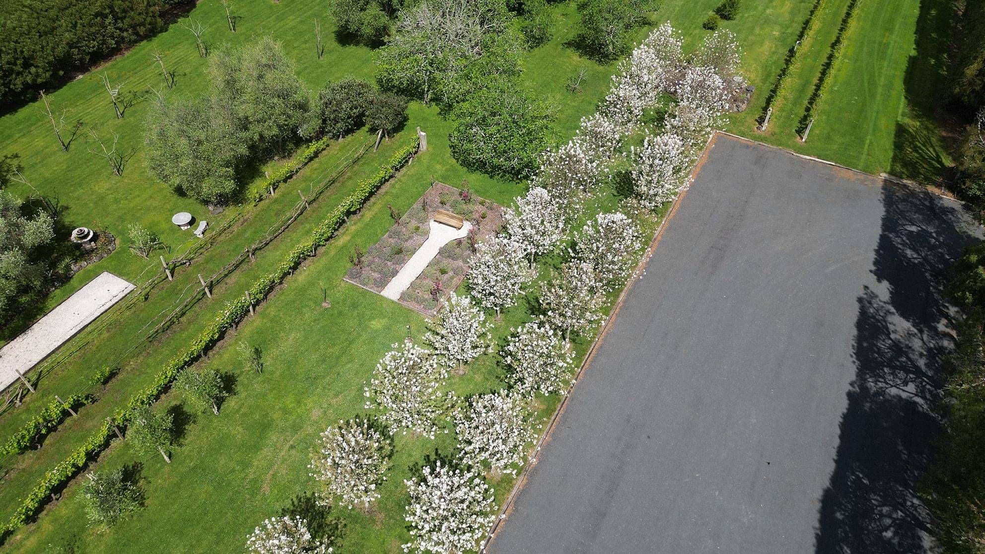 Markovina Vineyard Estate Main Carpark with Flowering Trees