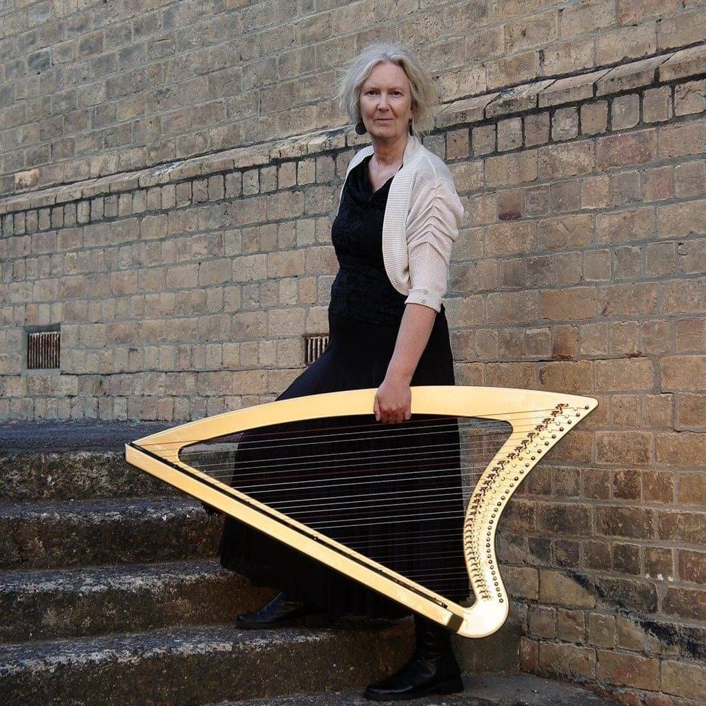 electric harp musician