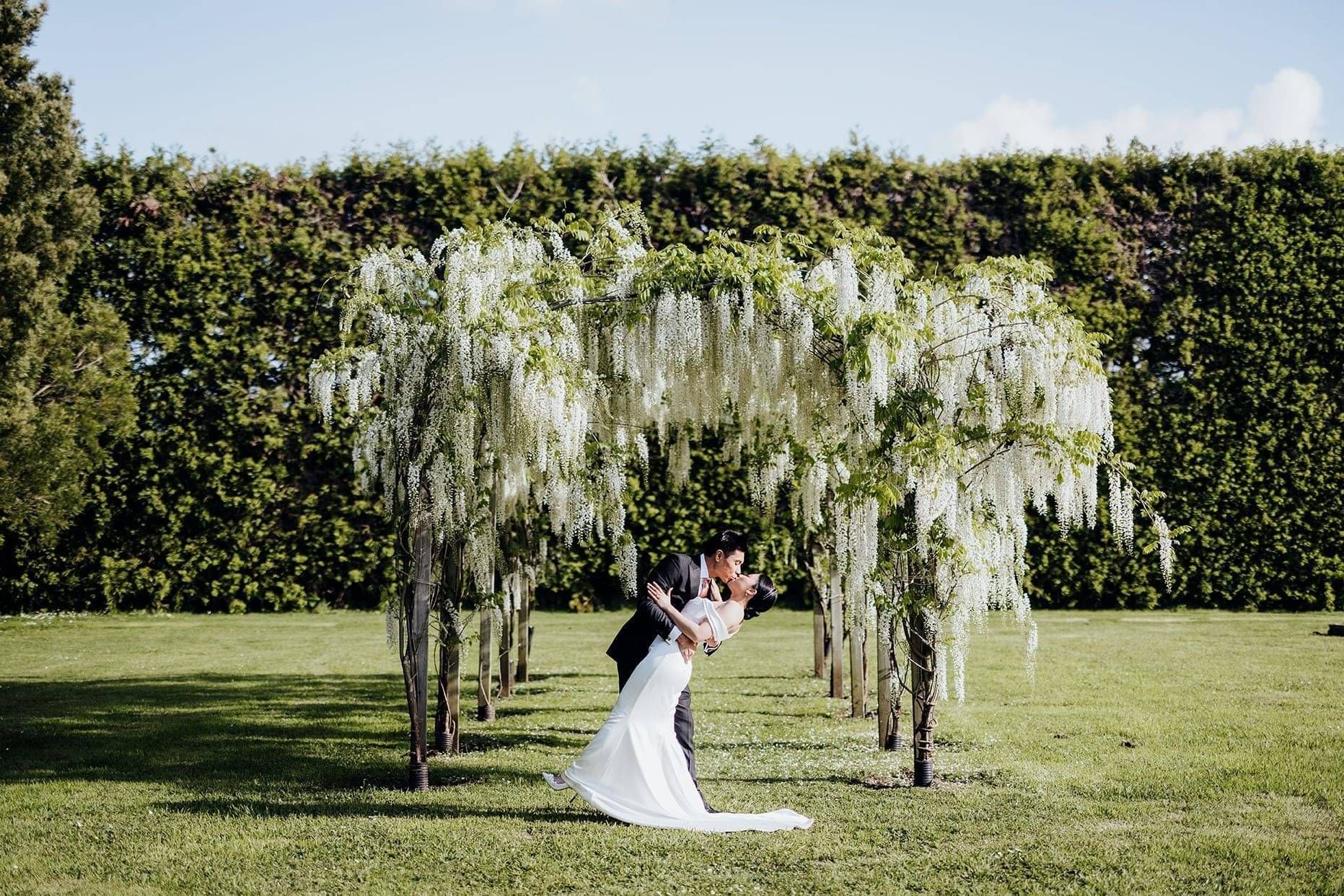 Markovina Vineyard Estate Wedding Venue Couple at Wisteria Archway