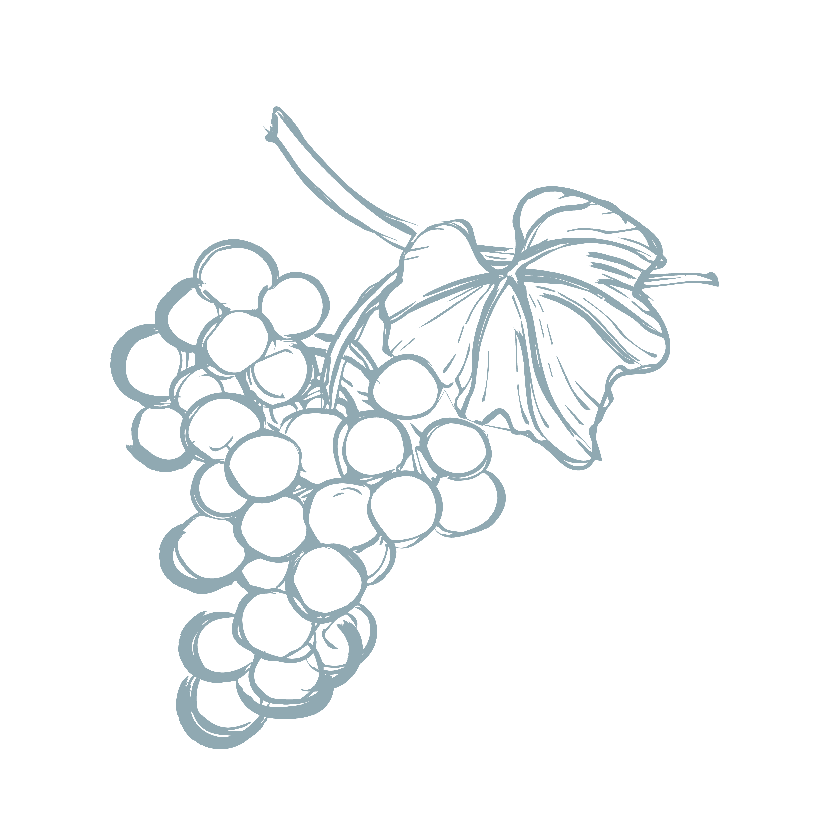 Markovina Vineyard Estate Wedding Venue 3 Generations of Family