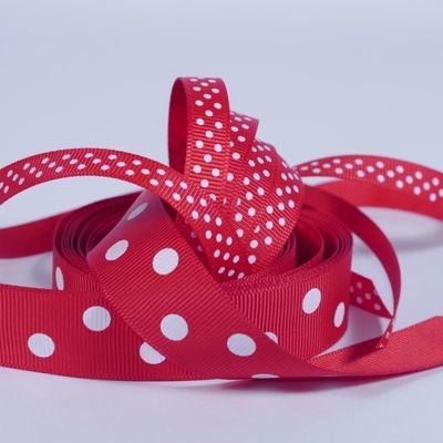 Ladybug Spot Red/White