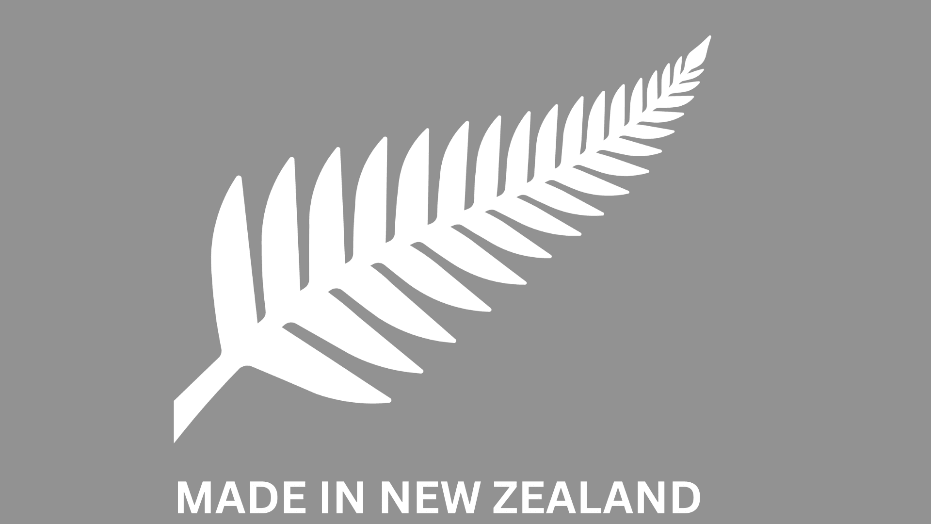 toyhaulers made in nz