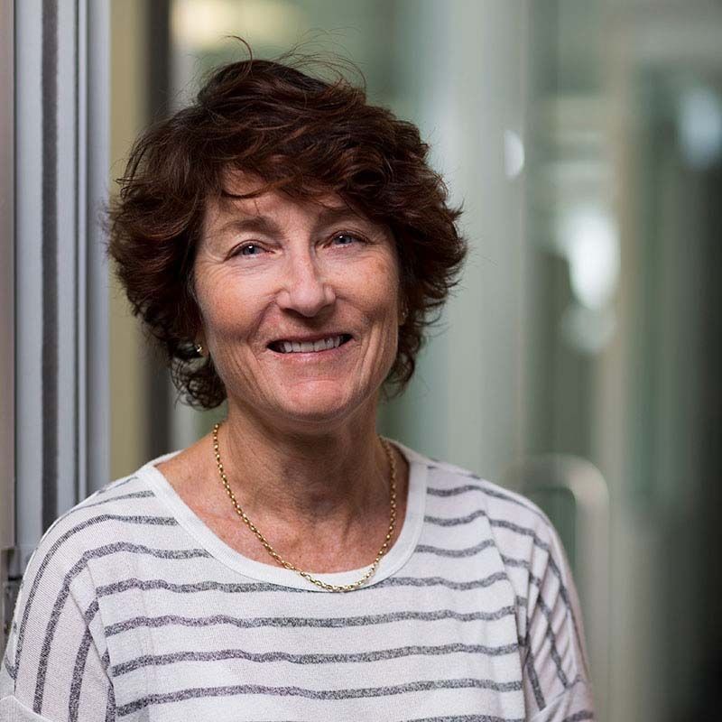 Headshot of baldry + sanford chartered accountant, Paulette at office in Auckland
