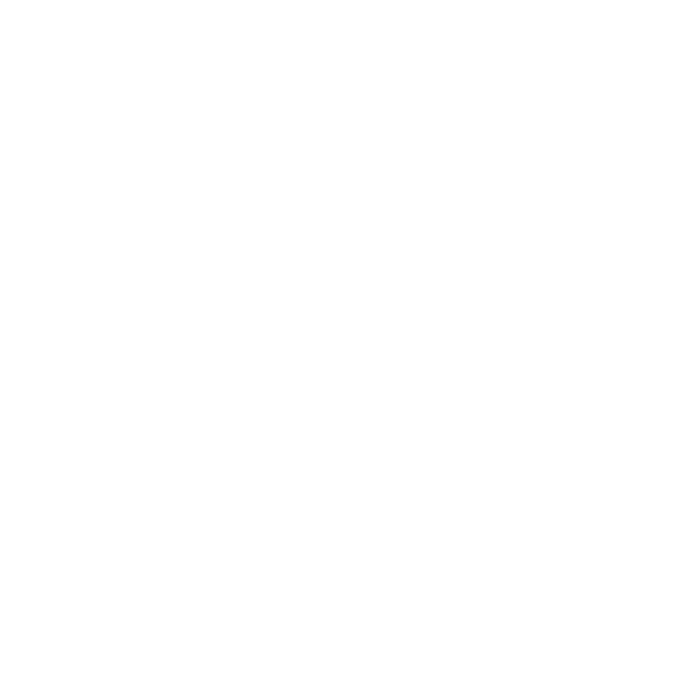 Integrity from Mats Detailing