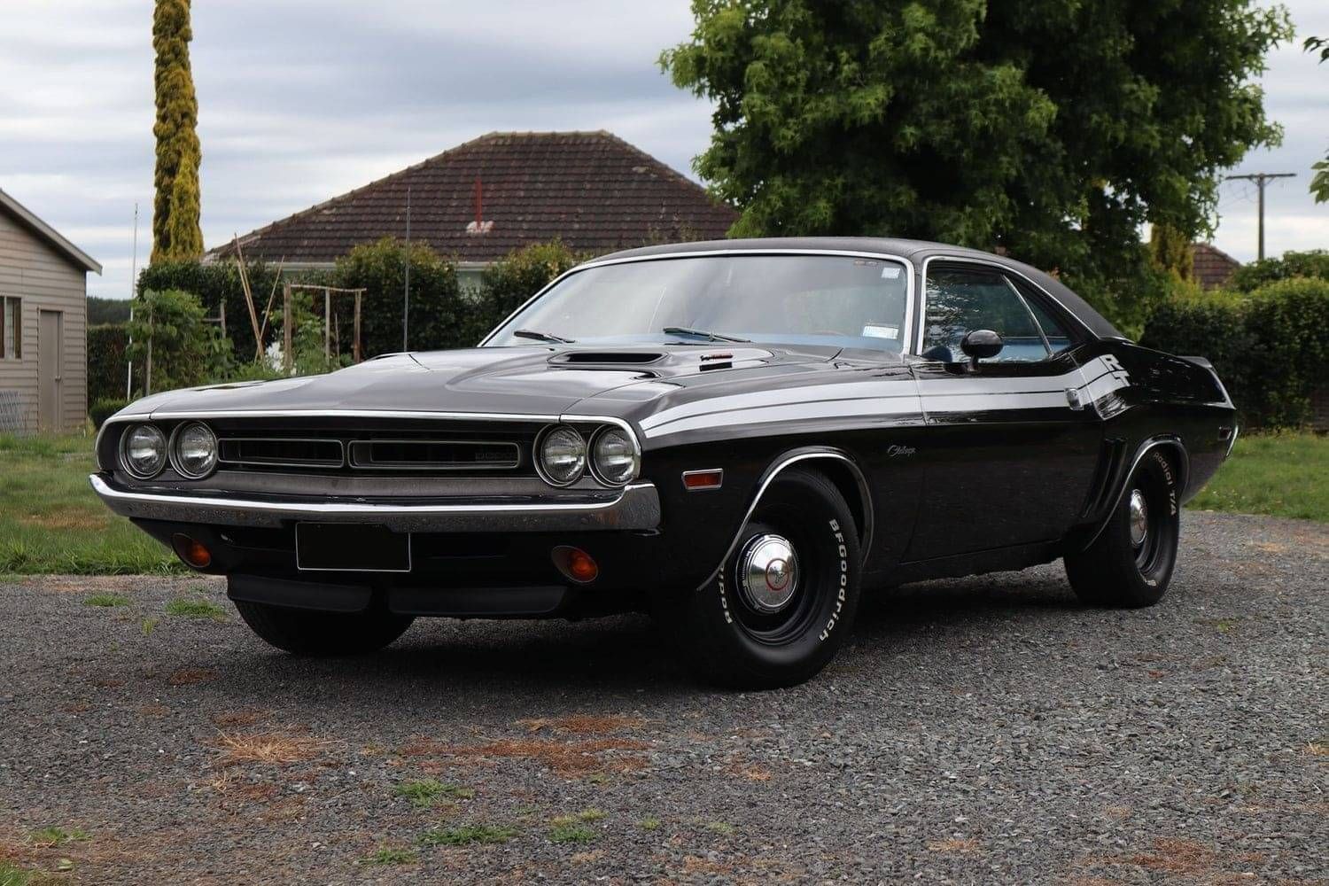 Waikato’s Premium Paint Correction, Protection & Detailing Services