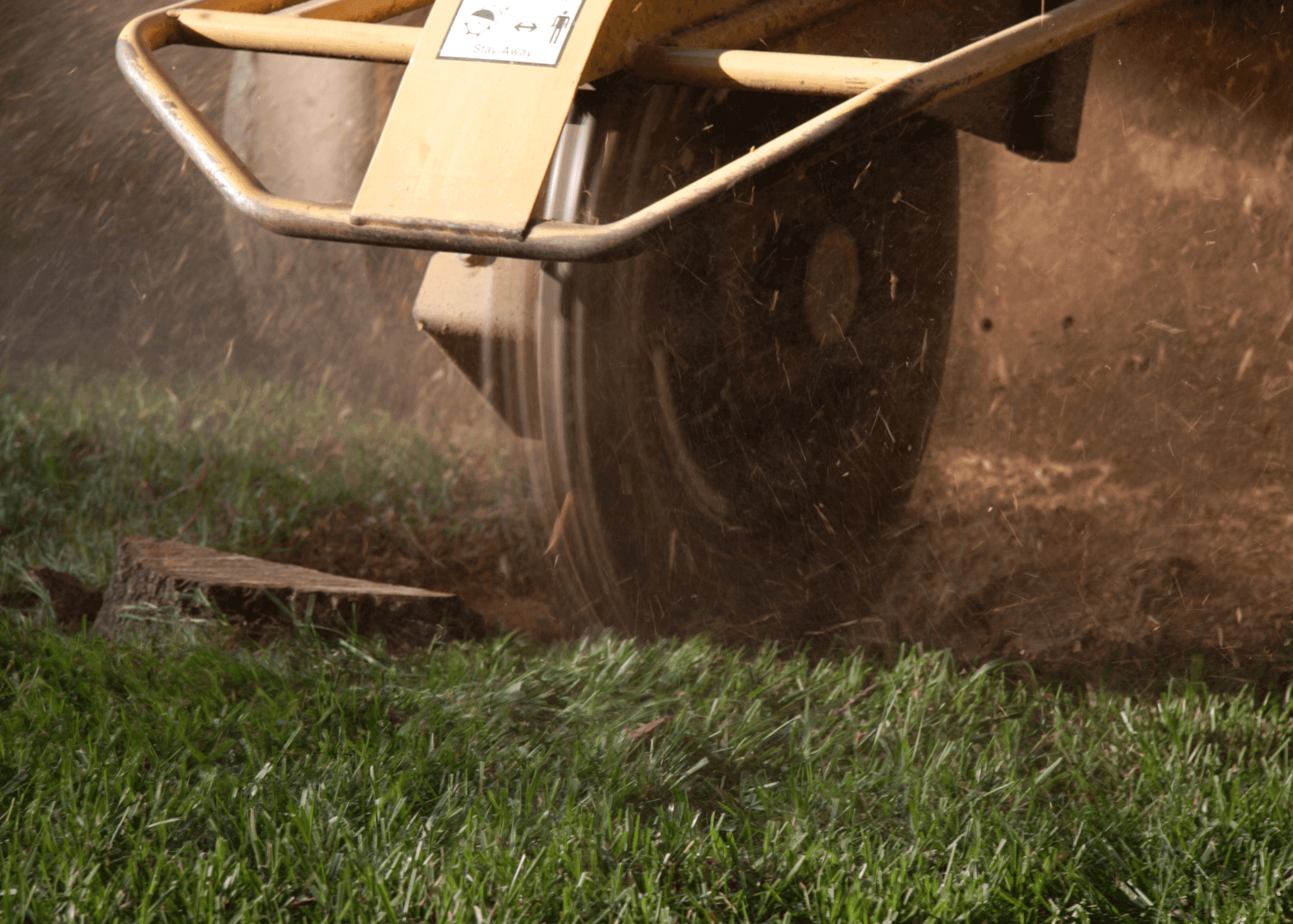 stump grinding in the Waikato