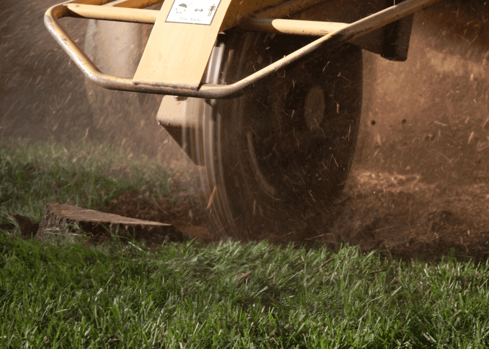 stump grinding in Hamilton