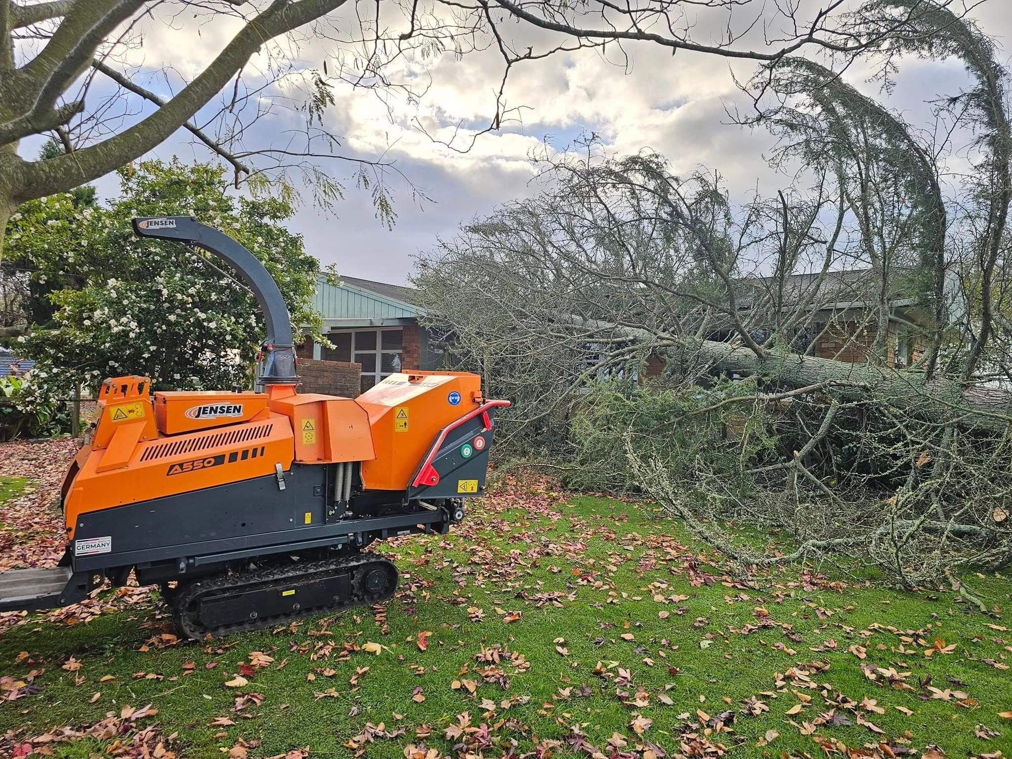 Our Hedge Trimming Process in Waikato