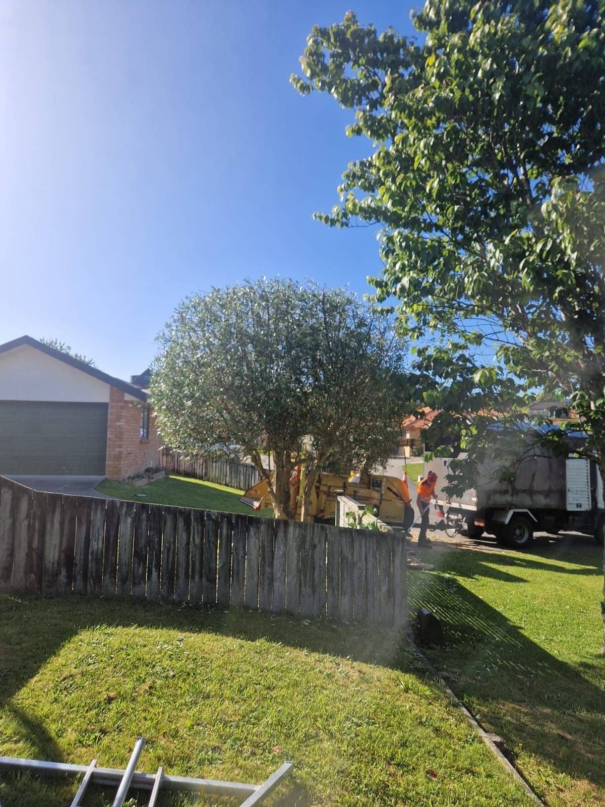 Our Hedge Trimming Process in Waikato