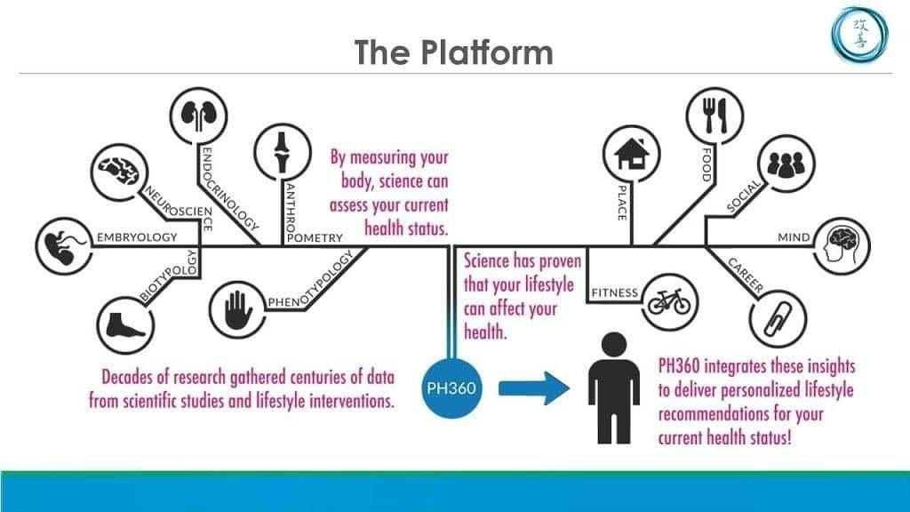Epigenetics Infograph | Lisa Tamati