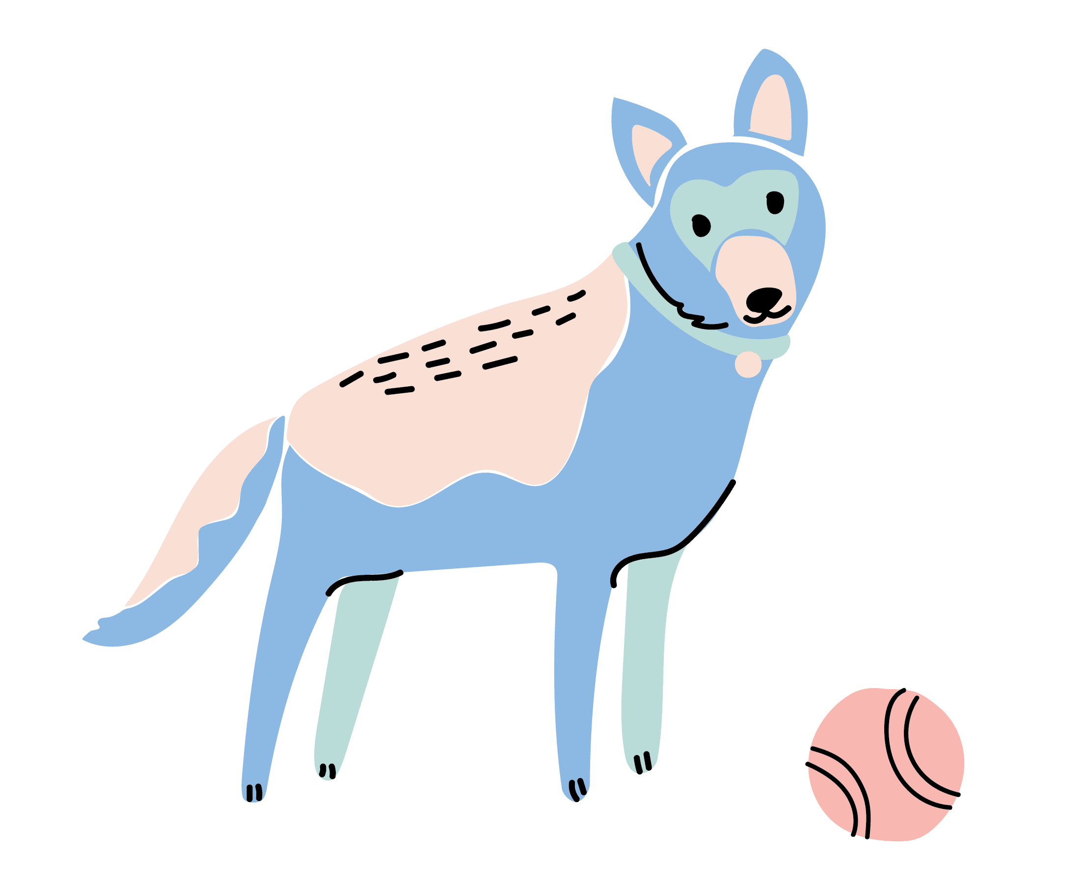 The Vet House shepherd, dog. Pet care and vet services in Hamilton, Te Awamutu, Cambridge areas
