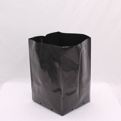 PB 40 PLANTER BAGS X 10 BAGS (20L)