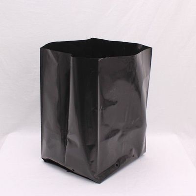 PB 60 PLANTER BAGS X 10 BAGS (30L)