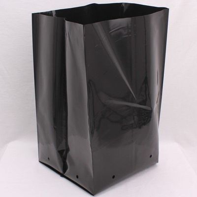 PB 95 PLANTER BAG X 1 (50L)