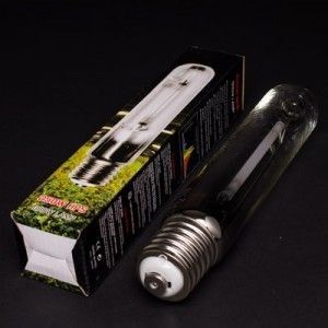 HORTICULTURE 250W H.P.S BULB