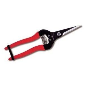 ARS SECATEURS