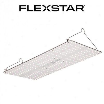 FLEXSTAR 240W LED GROW BOARD