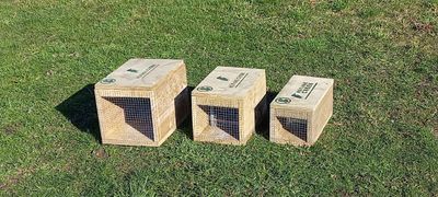Weka Approved Traps